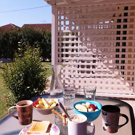 Ladina Landsted Ligia